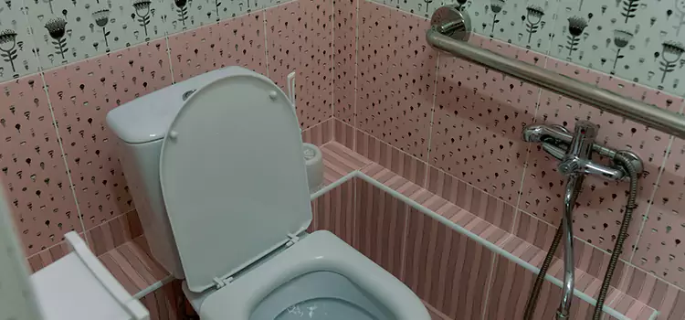 Meeting Diverse Needs With Accessible Restroom Solutions in Channelview, TX